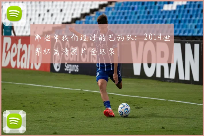 那些年我们追过的巴西队：2014世界杯高清图片全记录