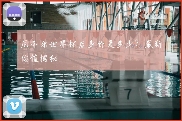 厄齐尔世界杯后身价是多少？最新估值揭秘