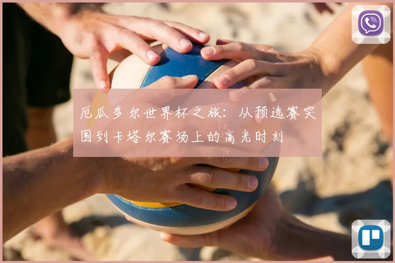 厄瓜多尔世界杯之旅：从预选赛突围到卡塔尔赛场上的高光时刻