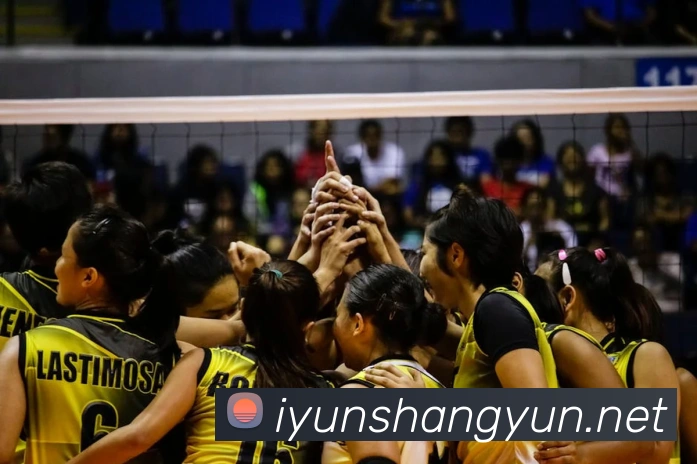 九游ag登录官网平台生态图